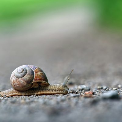 Одевайся модно: Терпение